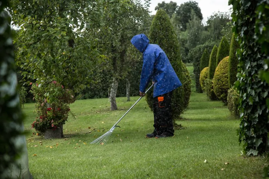 Jardin entretenu par AS-Services 64 a Billere